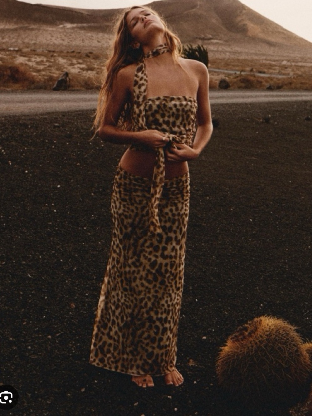Zara Leopard Print Bandeau Top & Maxi Skirt Set in Brown and Black